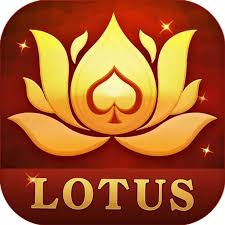 3 patti app download apk download